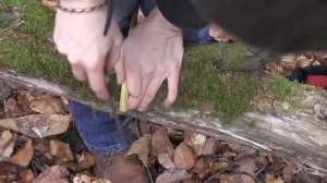 Как самому сделать лук и стрелы