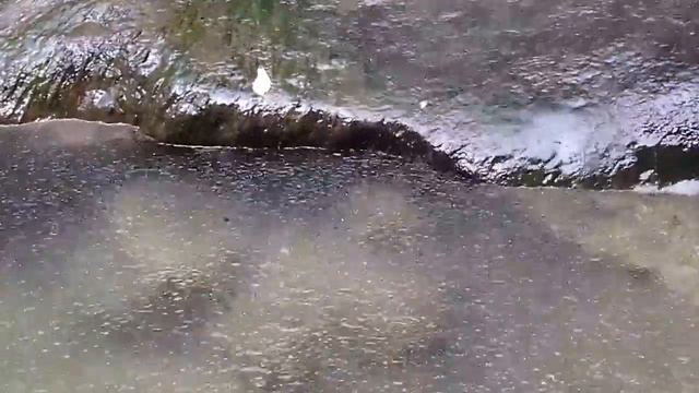 Экскурсия в Кодорское ущелье. Шакуранский водопад. 2015 г. Видео 143 смотреть онлайн