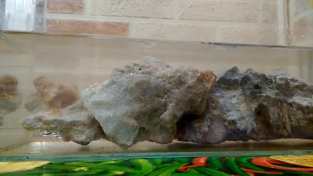 Травление камней Jura Rock в лимонной кислоте ч.3 смотреть онлайн