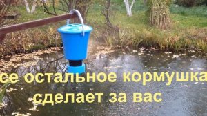 кормление карпов в пруду  автоматические кормушки для пруда www.avtokorm.ru t.985 644-56-78