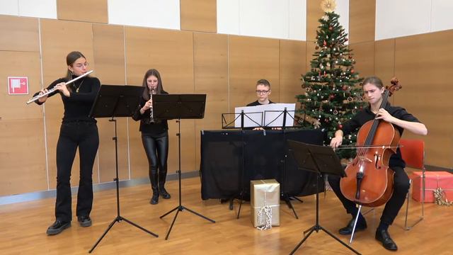 Triosonata in C minor Andante moderato, Allegro - J. J. Quantz смотреть онлайн