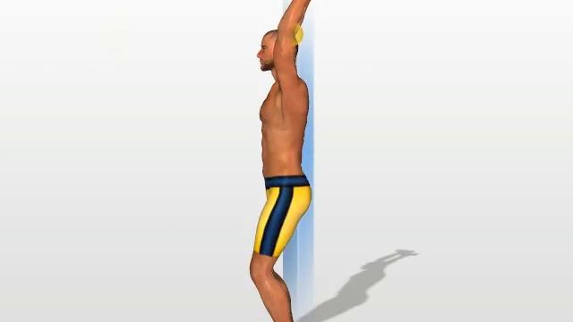 Triceps Exercises :  Extensions