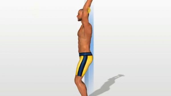 Triceps Exercises :  Extensions