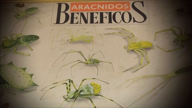 Laboratorio de Entomología recibió a niños del colegio San Luis Gonzaga смотреть онлайн