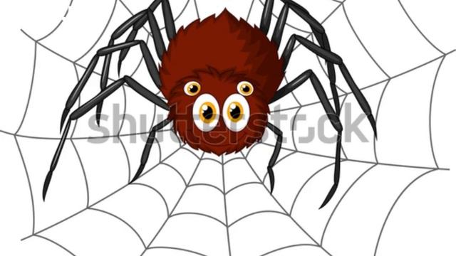 Spinderella and Itsy spider смотреть онлайн