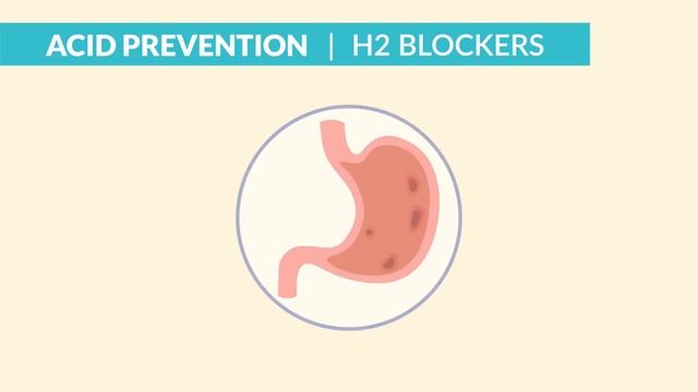 Pharmacology GI - H2 Blockers, PPI, Sucralfate, Antacids nursing RN PN NCLEX.mp4 смотреть онлайн