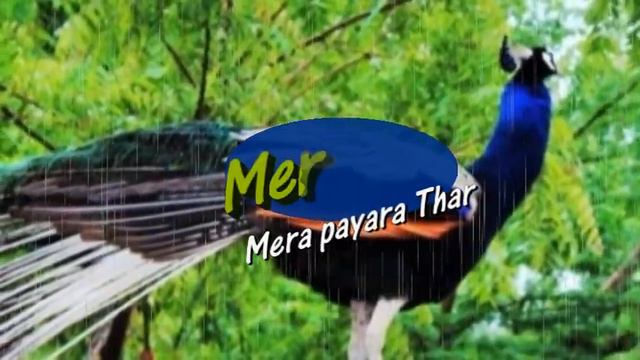 Ton be chhde wen jani Fozia Soomro смотреть онлайн