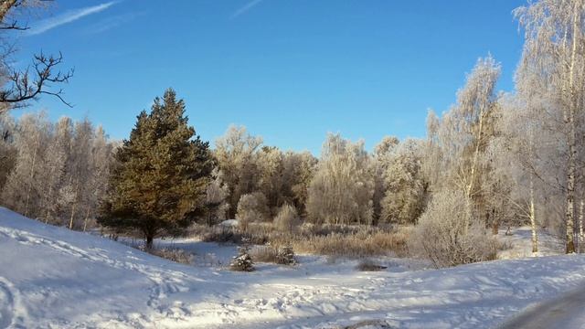 Тонкий план и его жители! От них не спастись. смотреть онлайн