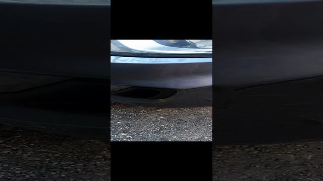 это милые котики на нашей даче смотреть онлайн