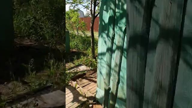 дача (5 суток), в г. Казань смотреть онлайн