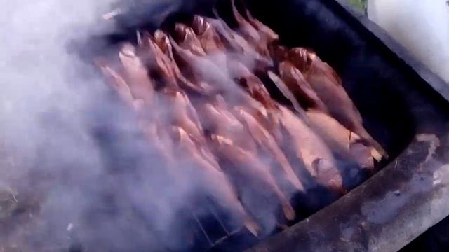 Копчёная рыба в раковине смотреть онлайн