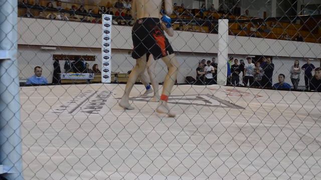 Лежнев Андрей Сотников Алексей Другий Раунд Відкритий Чемпіонат з Фрі Файт смотреть онлайн