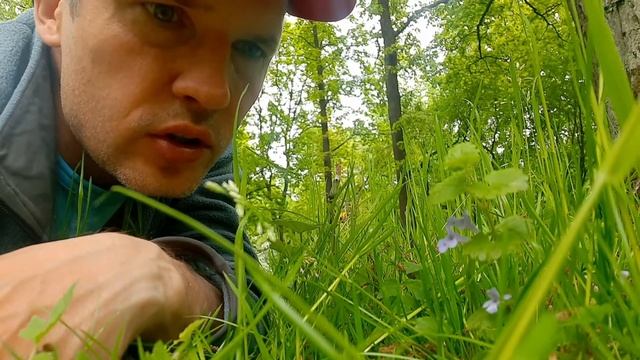 Музыкальные Каверы