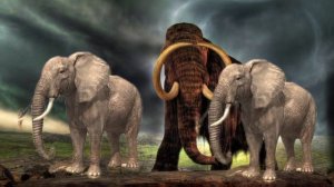 Кто такие Мамонты? Интересные и Малоизвестные факты про Мамонтов! AnyWild!