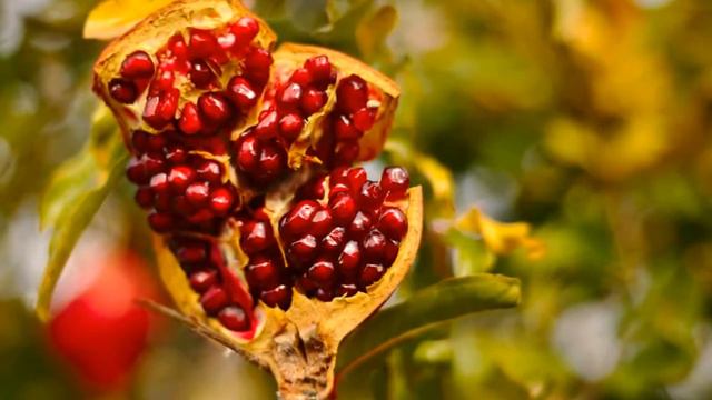 How to get healthy and glowing skin from Pomegranate смотреть онлайн
