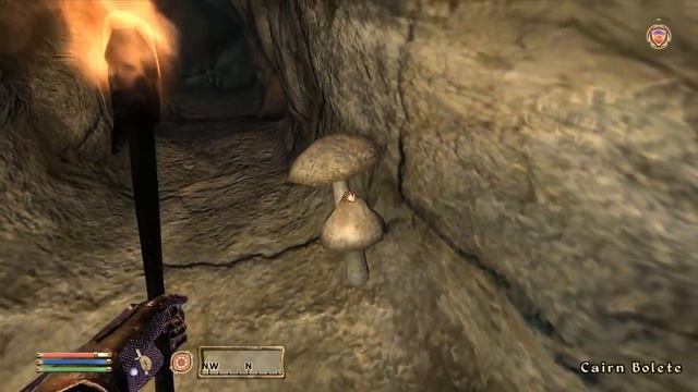 Modryn Oreyn Gives Us Duties - Let's Play Oblivion (Max Difficulty) #112 смотреть онлайн