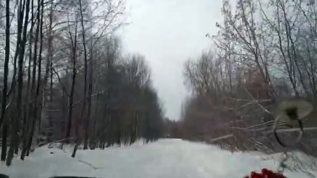 Поездка в лесок на побеоежье реки(2) смотреть онлайн