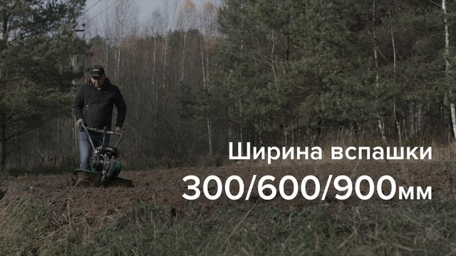 Мотоблок бензиновый Caiman Vario 70C TWK+