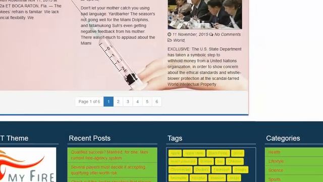 13- The Best News Theme Section Ten Options - Wordpress Theme смотреть онлайн