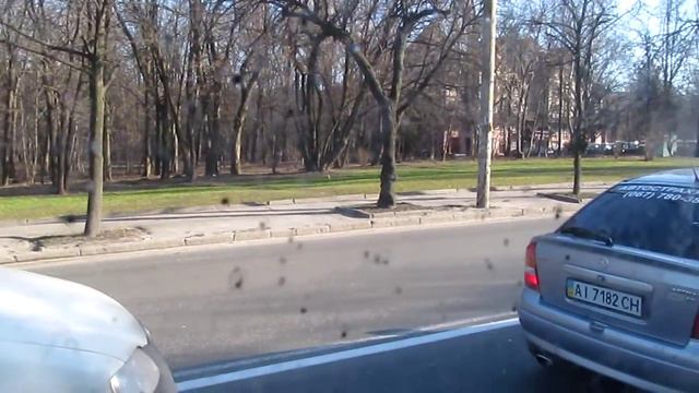 Женский Праздник - 8 МАРТА - Праздник, Голосеево, Маршрутки Едут, УКРАИНА, Киев смотреть онлайн