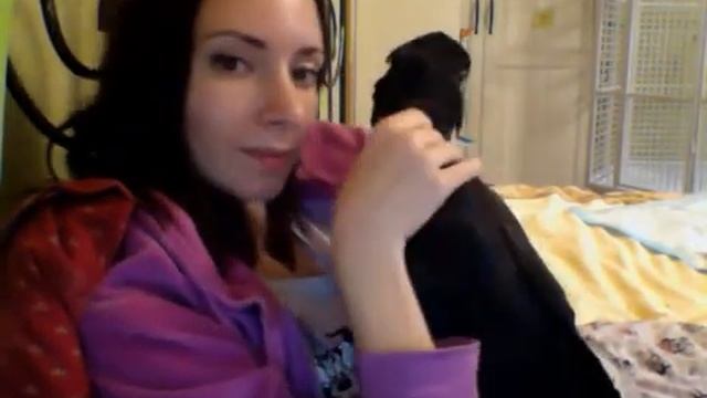 ручной траурный какаду смотреть онлайн