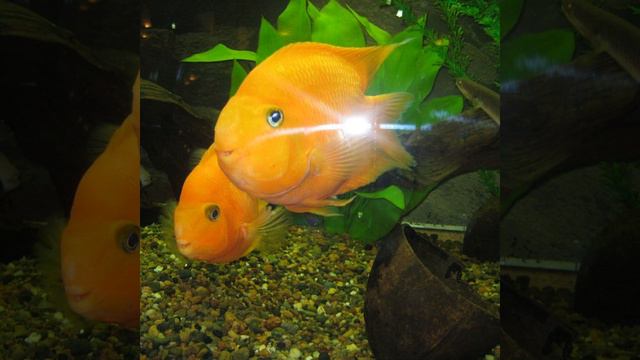 Океан-2021 смотреть онлайн