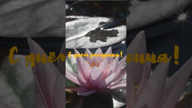 Видео поздравление с днем рождения | SunPikRu смотреть онлайн