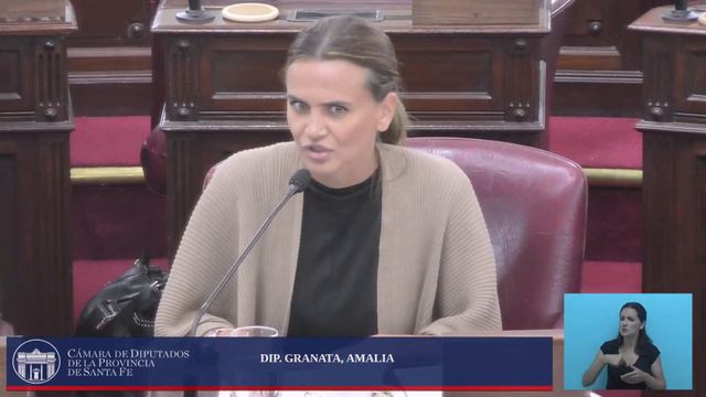 INTERVENCION DIPUTADA GRANATA AMALIA - SESIÓN N°3 PERIODO EXTRAORDINARIA - 30/12/2019 смотреть онлайн