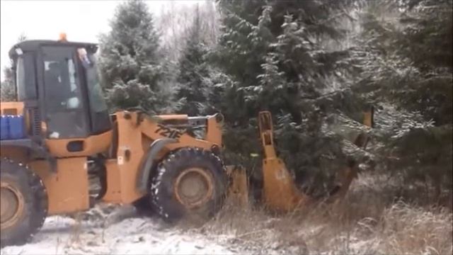 Пересадка крупномеров от компании Сервис БиС смотреть онлайн