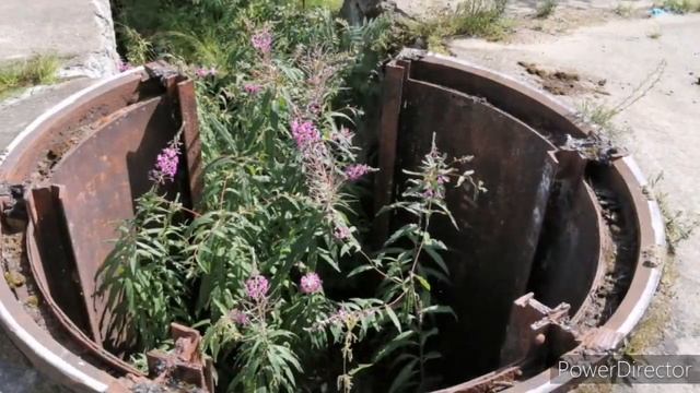 Западный Котлин смотреть онлайн