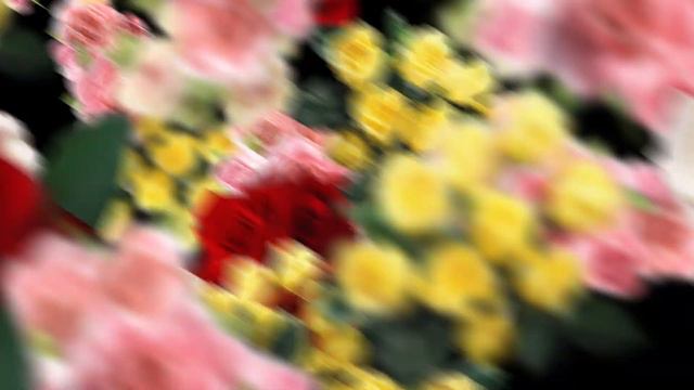 love-flower-frame-and-transitions-07-FOOTAGE смотреть онлайн