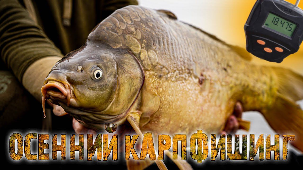 РЫБАЛКА НА КАРПА ПОЗДНЕЙ ОСЕНЬЮ. Так ли хороши СПЕЦИИ по холодной воде, как их хвалят?! Часть II смотреть онлайн