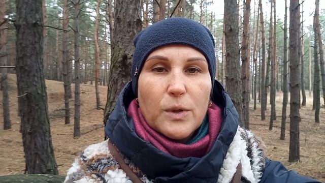 ПОЛЬСКИЕ ГРИБЫ в ноябре!Кременчуг.#грибы#польскиегрибы#сборпольскихгрибов#многогрибов смотреть онлайн