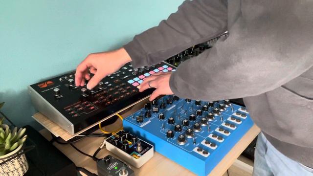 Live improvised looping-Ditto x4 with ASM Hydrasynth, TR8S and Lyra 8 - improvised techno смотреть онлайн