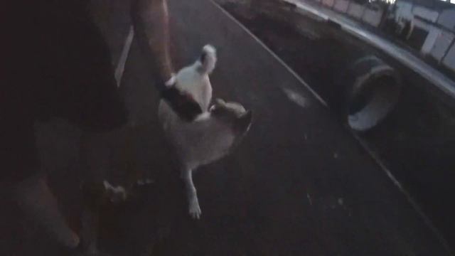 deCidyxa ride - Gomel 14.08.2019 смотреть онлайн