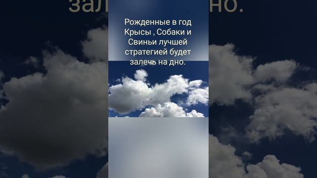 #Феншуй #прогноз #на #Октябрь #2023 /#Жовтень смотреть онлайн