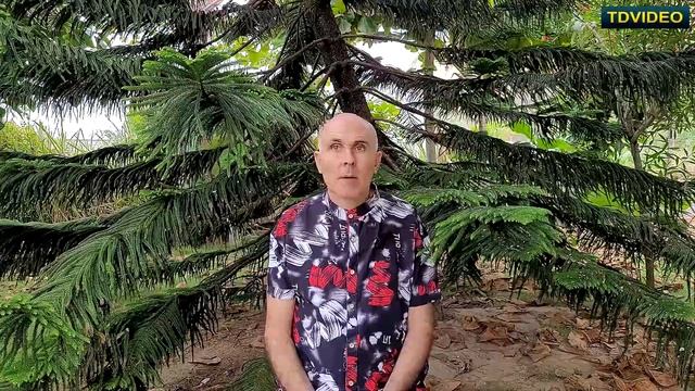 Путешествия Созерцания