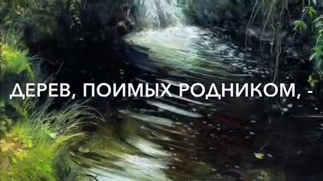 стихи о лесе А.Фет смотреть онлайн