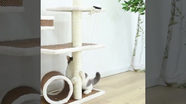 Занимательная игрушка для вашего любимца смотреть онлайн
