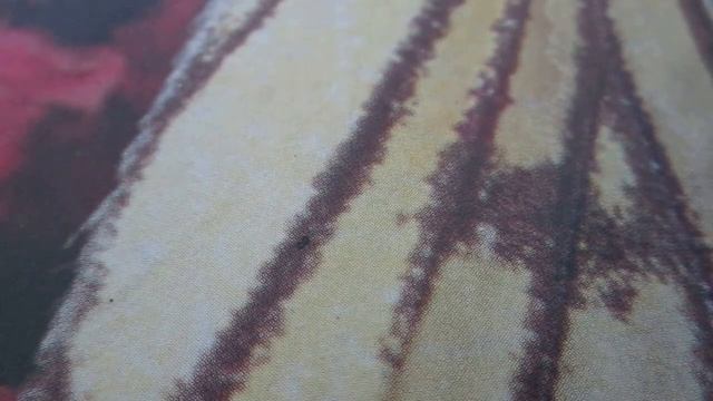 Как сшить юбку с параллельными складками.How to sew a skirt with parallel folds смотреть онлайн