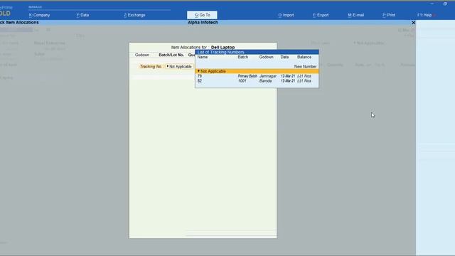 Tally Add On : Display HSN Code and GST% In Voucher Entry Screen in Tally Prime Software. смотреть онлайн