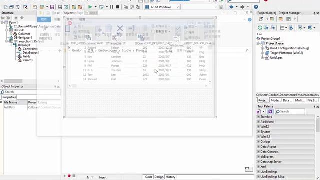 Using Delphi and InterBase Express to Create an Application смотреть онлайн
