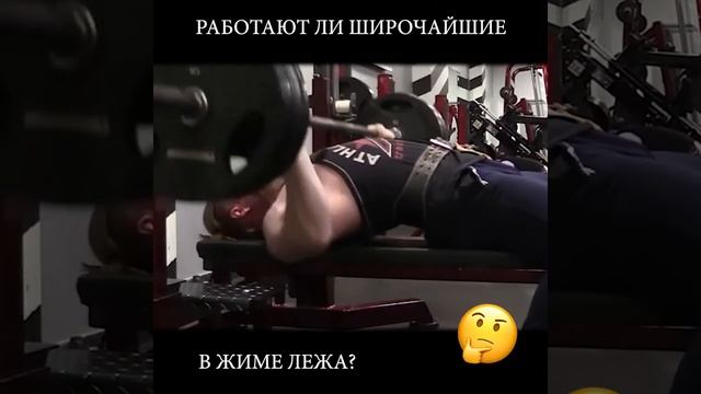 работают ли широчайшие в жиме лежа? смотреть онлайн