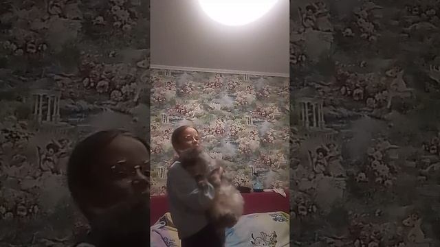 что мне лучше снимать про танцы, драконов, или Барсика моего кота ?? смотреть онлайн