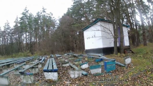 Декоммунизация детства. Пионерский лагерь "Чайка". г.Старобельск смотреть онлайн