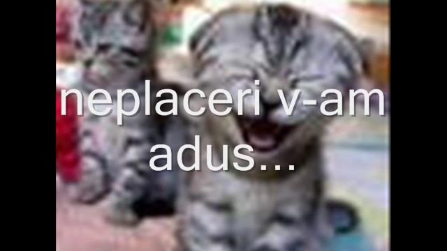 Copilaria N-o Vom Uita...