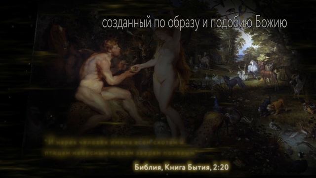 Происхождение языка. Беседа 1 | Прогулка по библиотеке смотреть онлайн