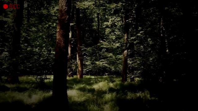 Страшные истории на ночь - ОХОТНИЧЬИ РАССКАЗЫ У КОСТРА. Мистические байки про нечисть. (А.Агурина) смотреть онлайн