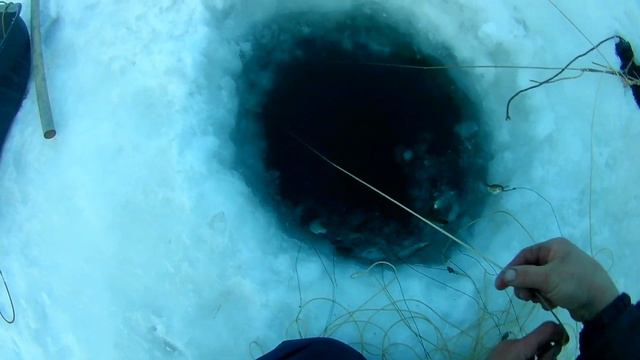 На Алтай пришла весна и клёв поменялся! смотреть онлайн