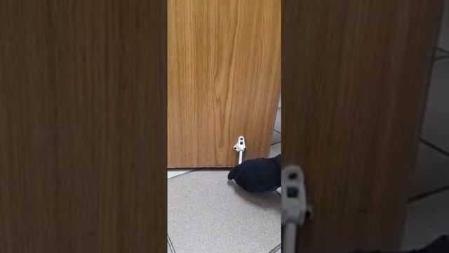 Фиксатор дверной 